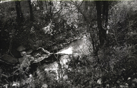 Photo only available in the library